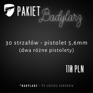 Badylarz
